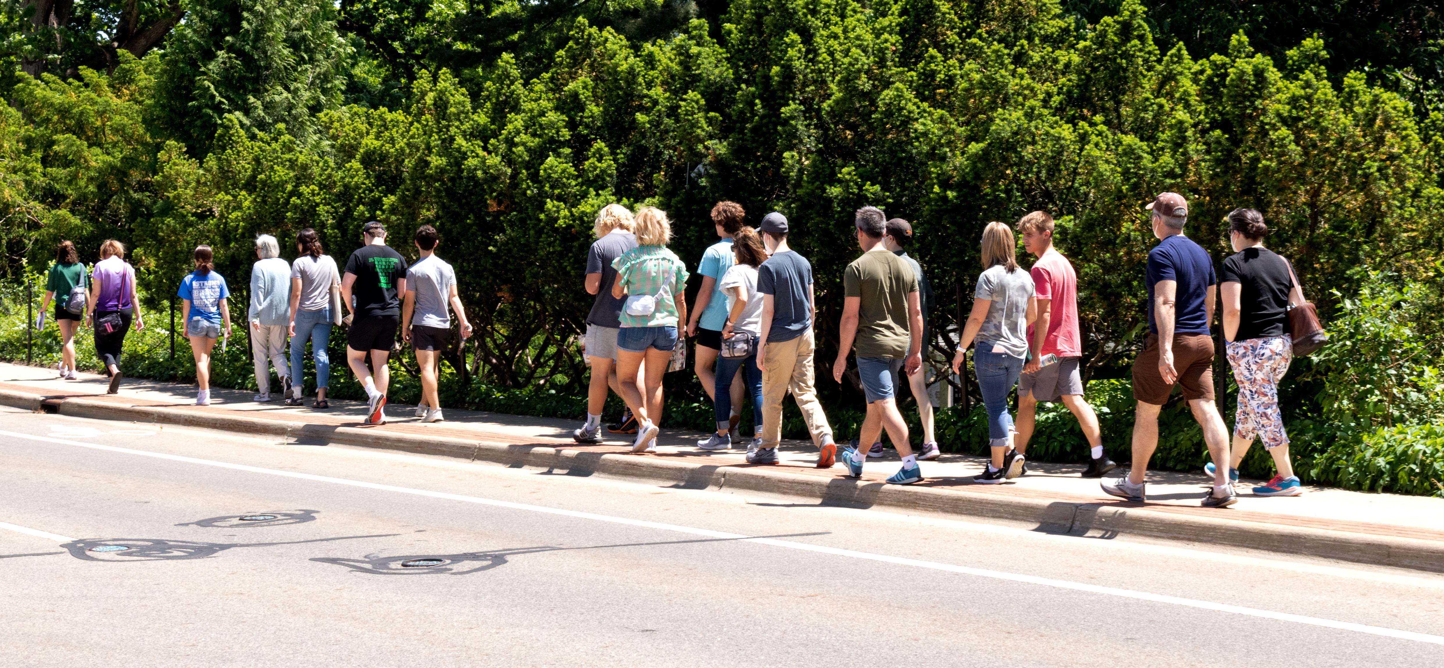 Group of people walking on a sunny day